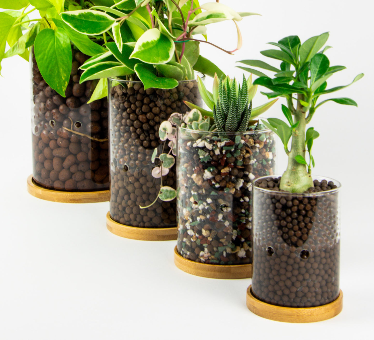 'Hydro Friendly' Hydroponic Planter for Leca, Glass