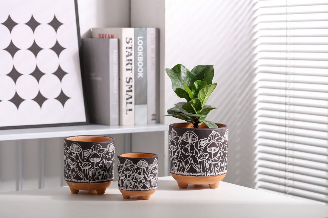 indoor gardening for mood boosting, growing houseplants in soil using terracotta mushroom pots from plant happy