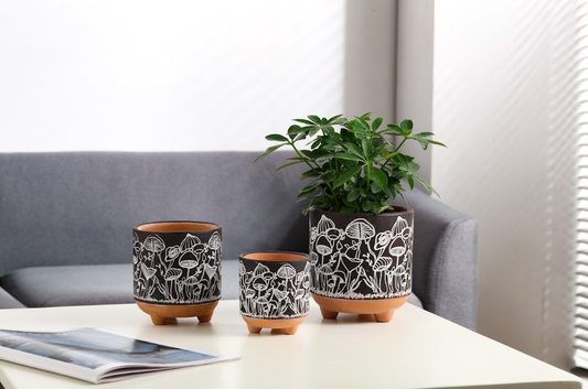 terracotta mushroom planters drainage full set indoor houseplant pot plant happy plant lovers gift