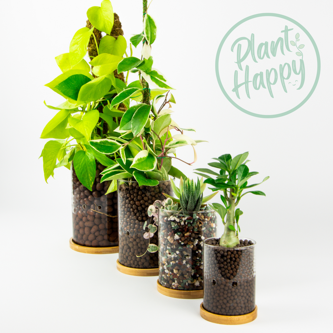 leca glass planters side drainage full set hydroponic houseplant pot plant happy sustainable gardening
