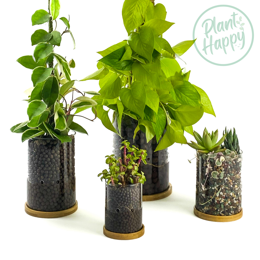 leca glass planters side drainage full set hydroponic houseplant pot plant happy