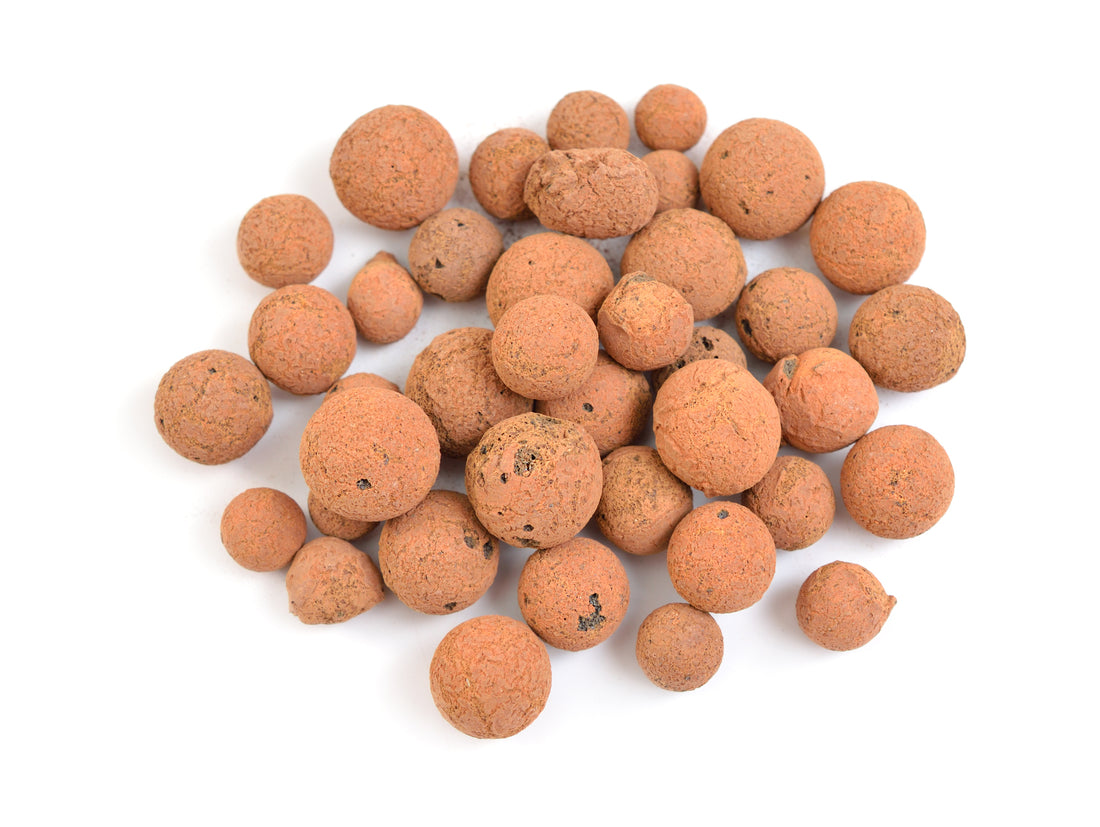 leca balls for self-watering houseplants semi-hydroponics