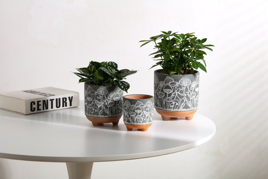  terracotta mushroom planters drainage full set indoor houseplant pot plant happy plant lovers gift
