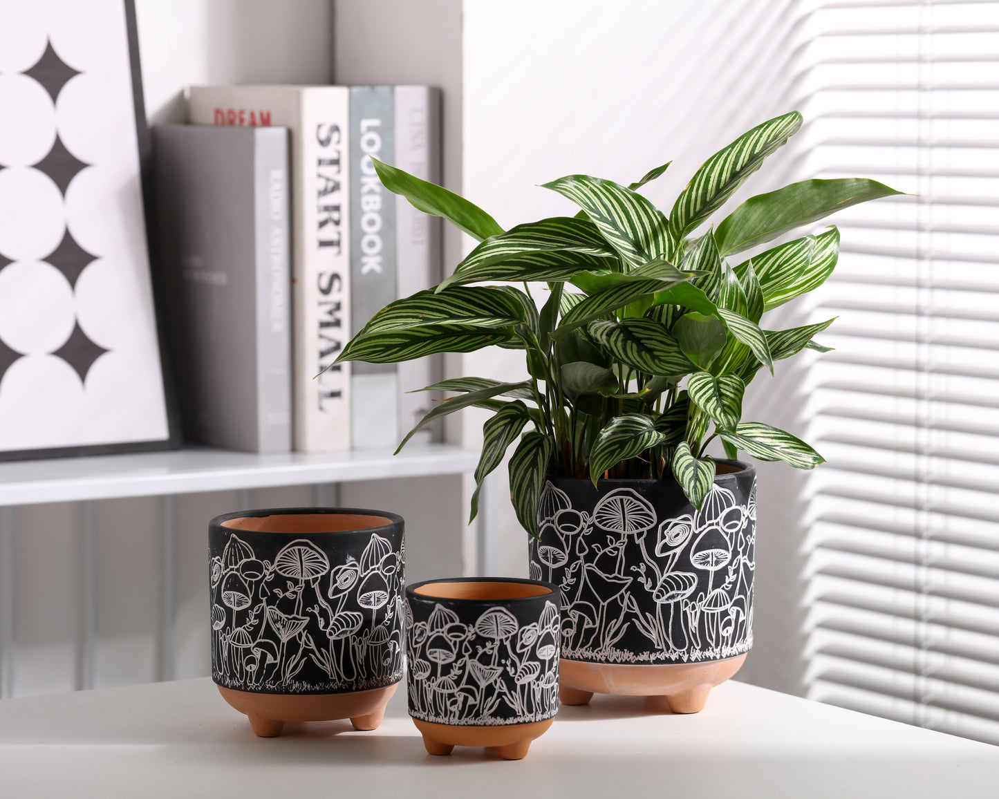 Happy Shrooms Terracotta Planter Trio