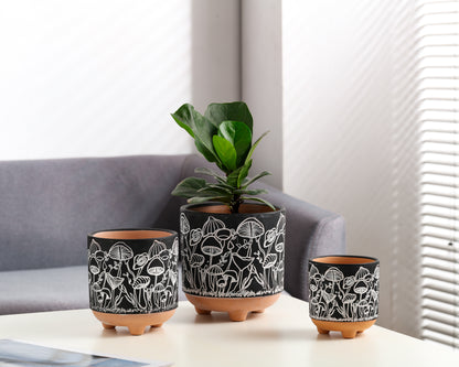 Happy Shrooms Terracotta Planter Trio