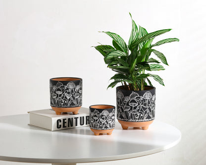 Happy Shrooms Terracotta Planter Trio