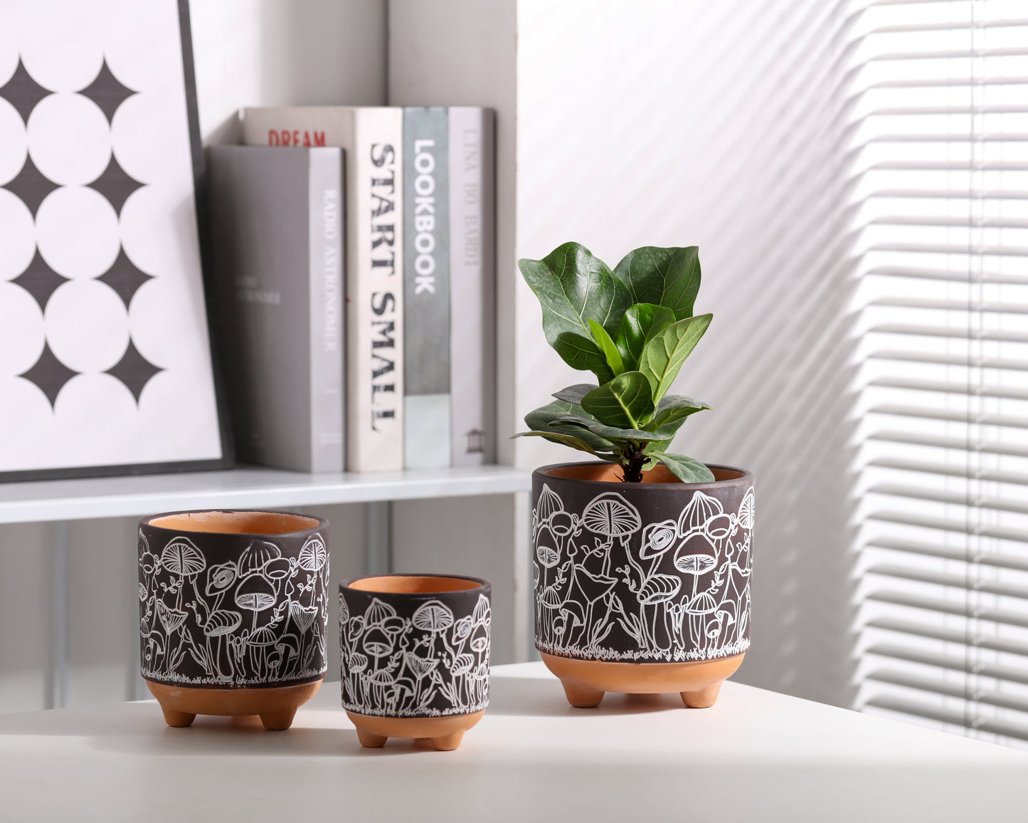 Happy Shrooms Terracotta Planter Trio