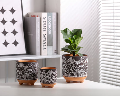 Happy Shrooms Terracotta Planter Trio