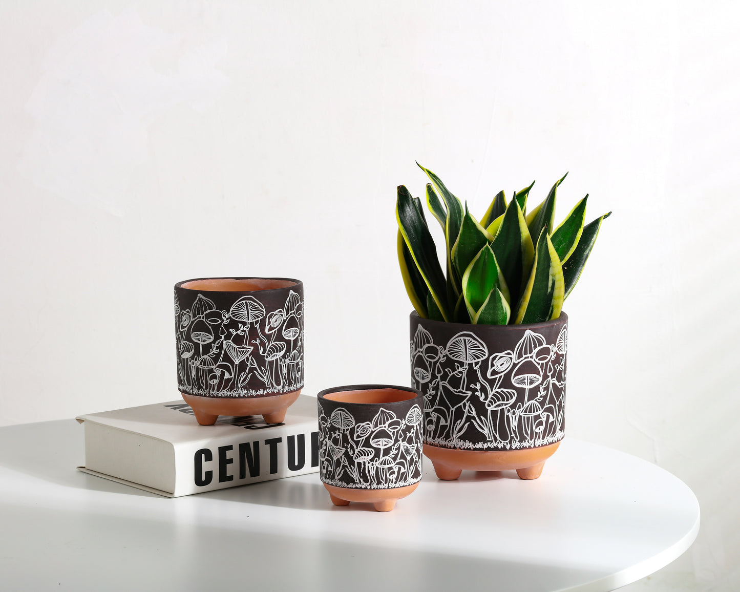 Happy Shrooms Terracotta Planter Trio