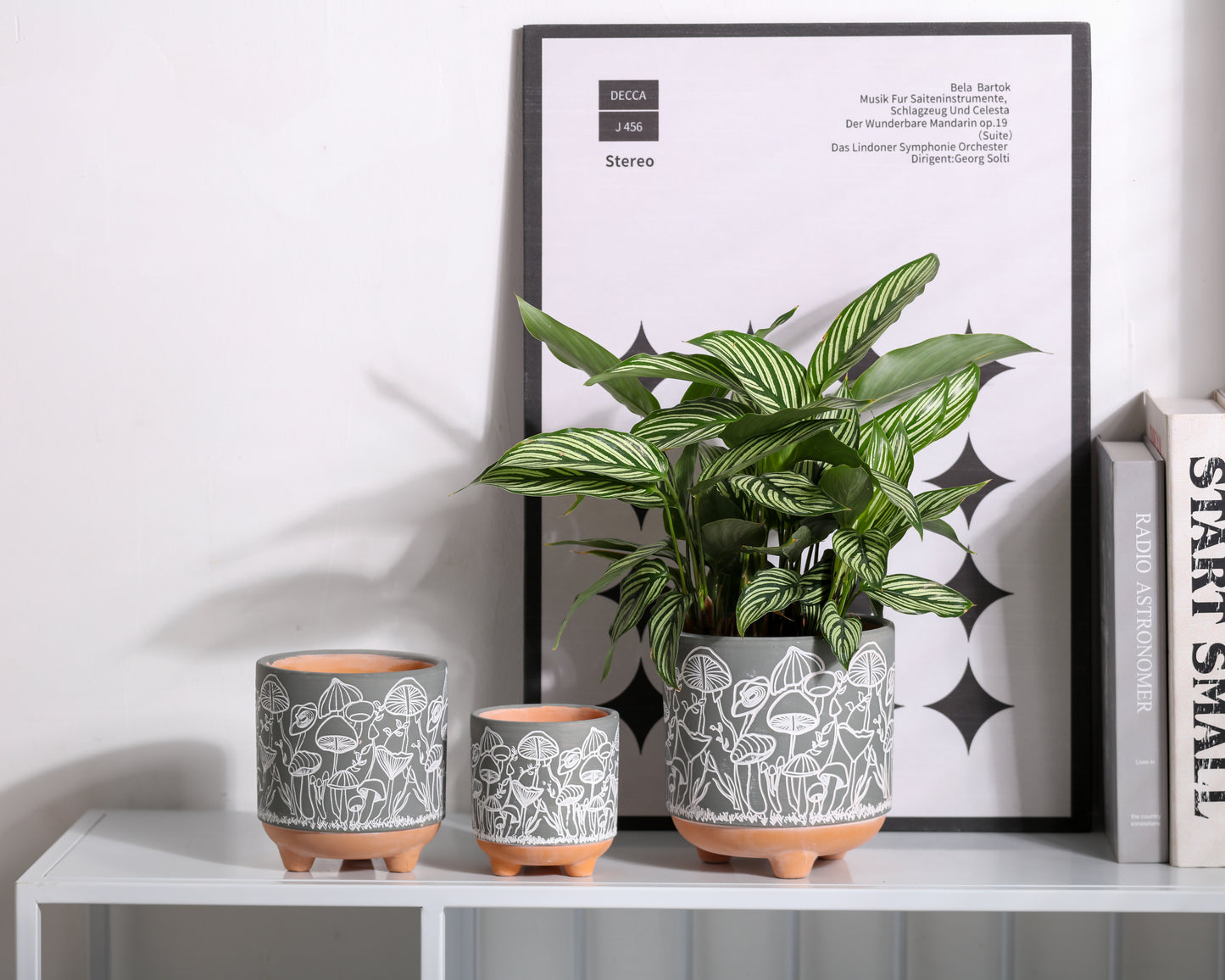 Happy Shrooms Terracotta Planter Trio