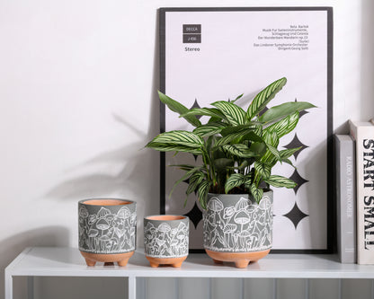 Happy Shrooms Terracotta Planter Trio