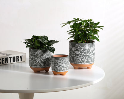 Happy Shrooms Terracotta Planter Trio