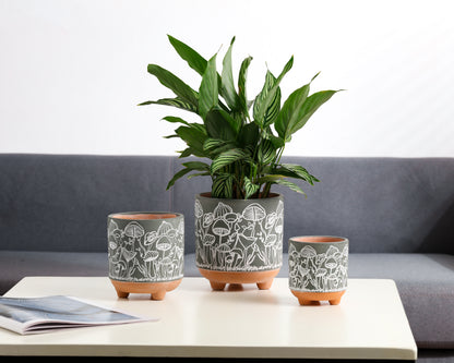 Happy Shrooms Terracotta Planter Trio