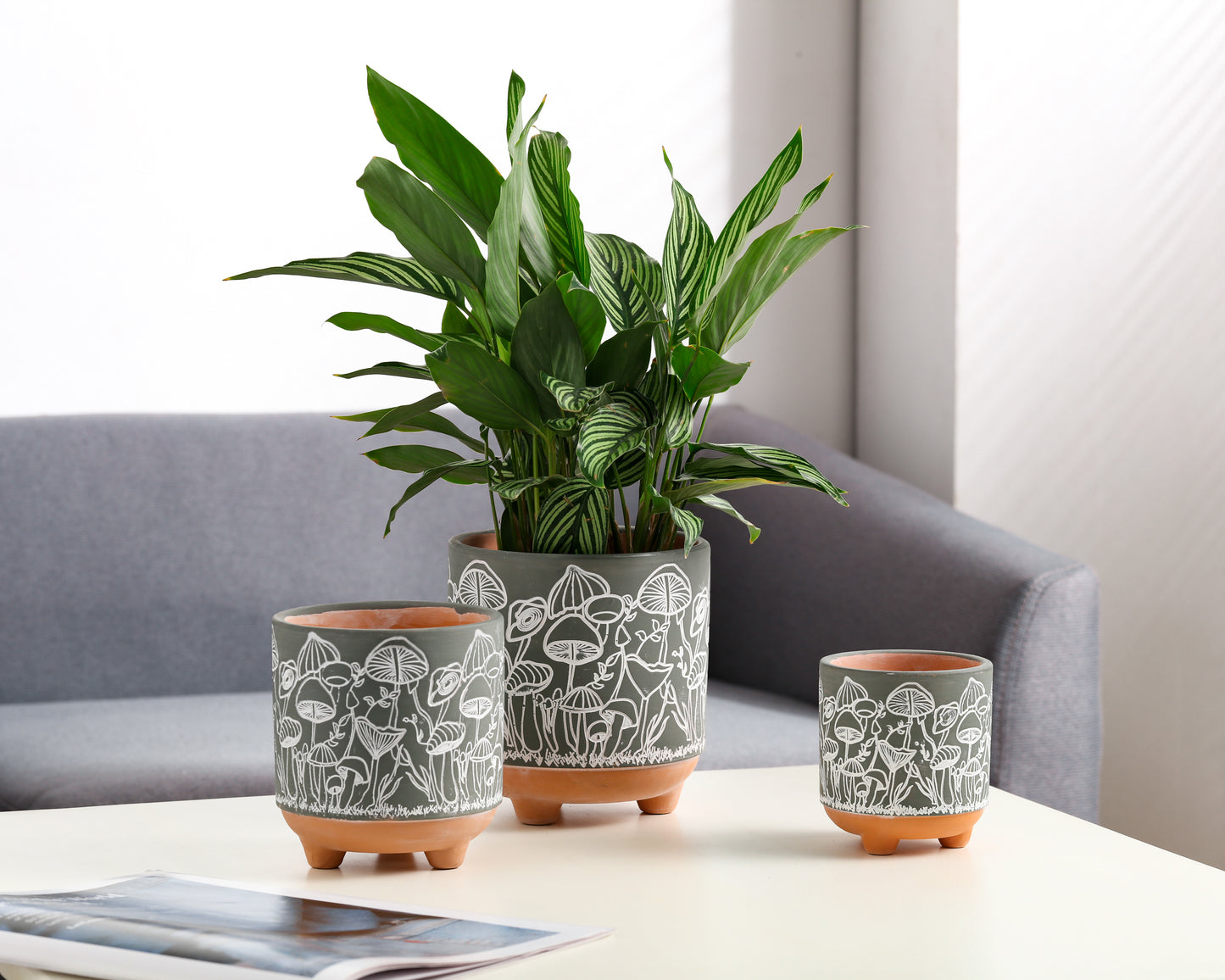 Happy Shrooms Terracotta Planter Trio