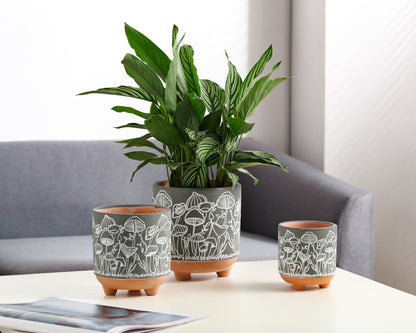 Happy Shrooms Terracotta Planter Trio