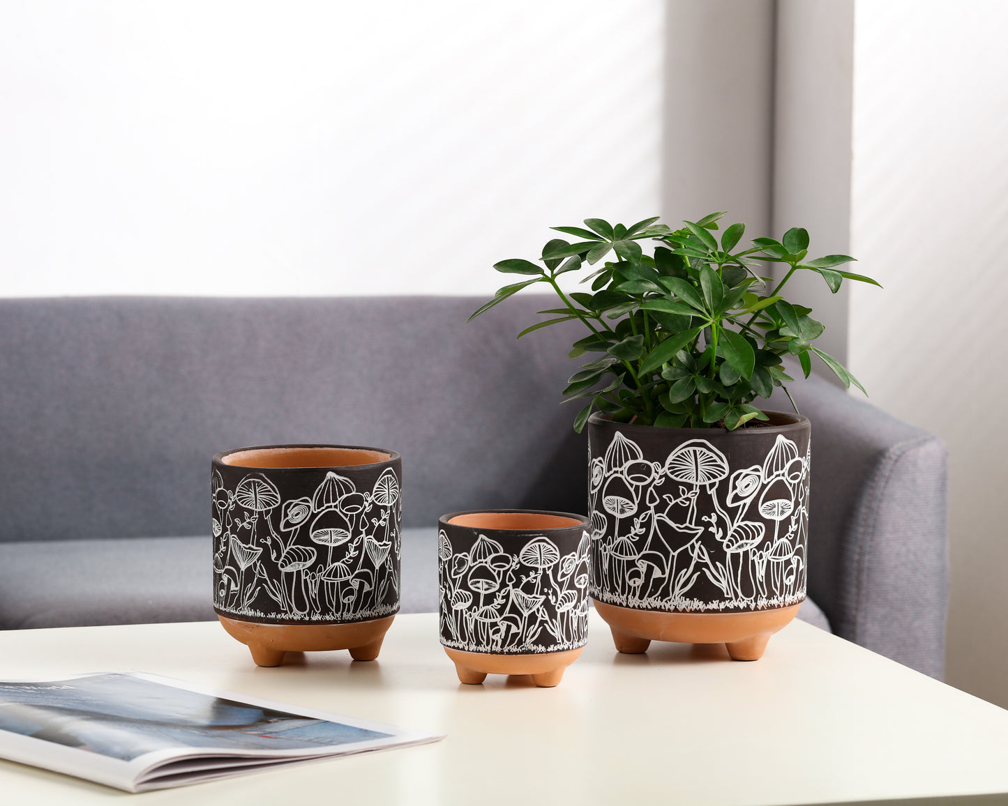Happy Shrooms Terracotta Planter Trio