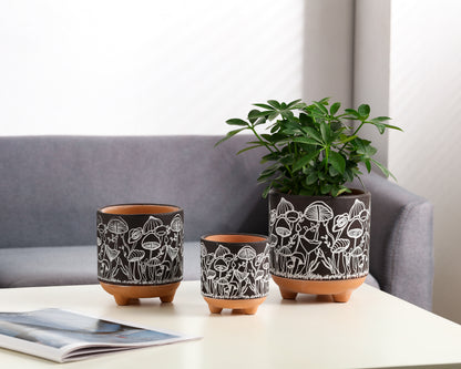 Happy Shrooms Terracotta Planter Trio