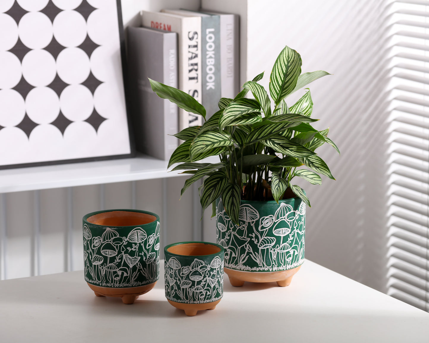 Happy Shrooms Terracotta Planter Trio