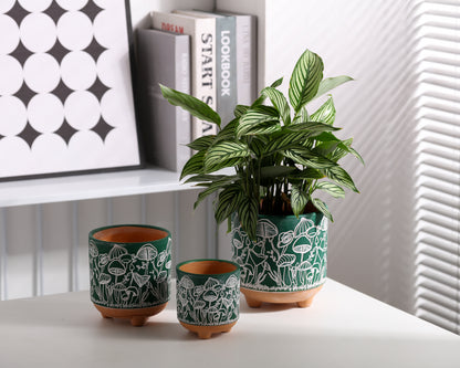 Happy Shrooms Terracotta Planter Trio
