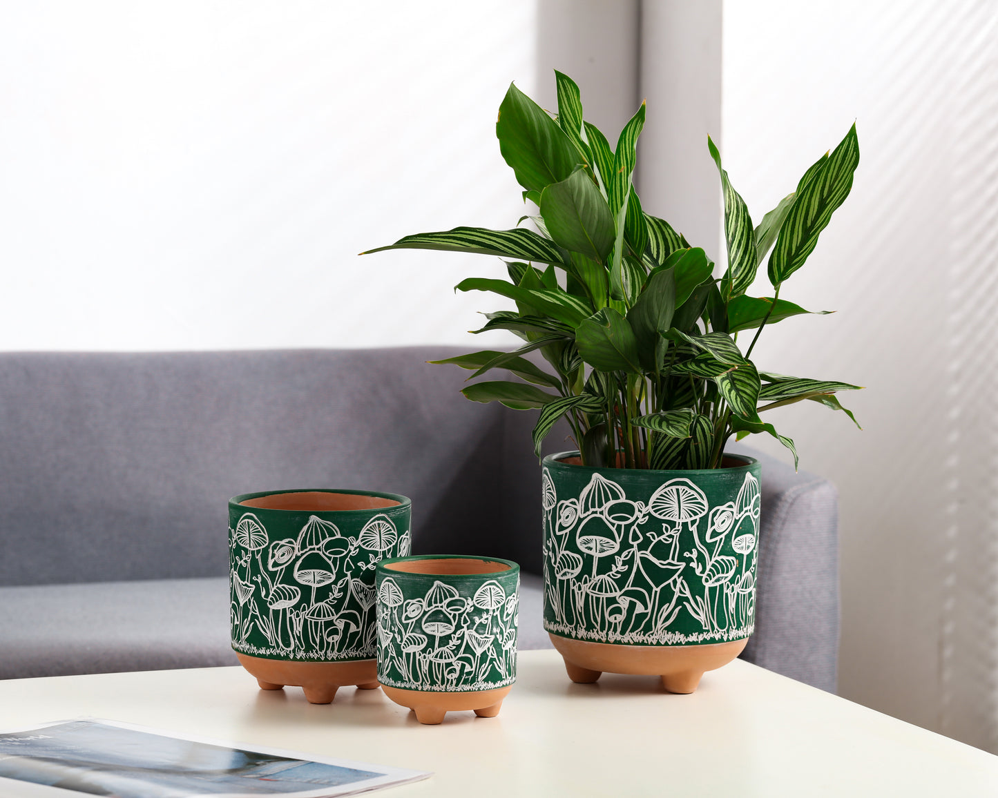 Happy Shrooms Terracotta Planter Trio