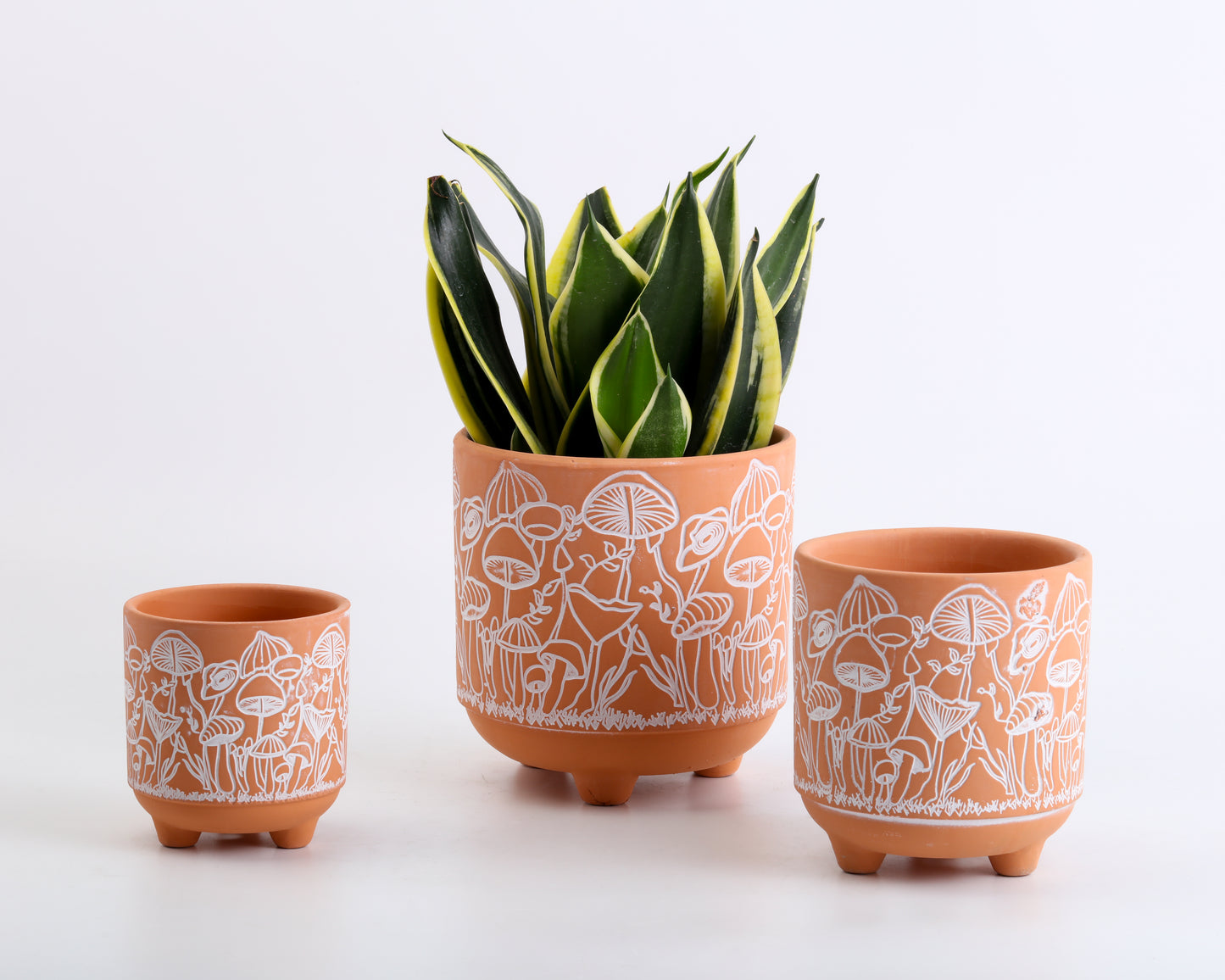 Happy Shrooms Terracotta Planter Trio