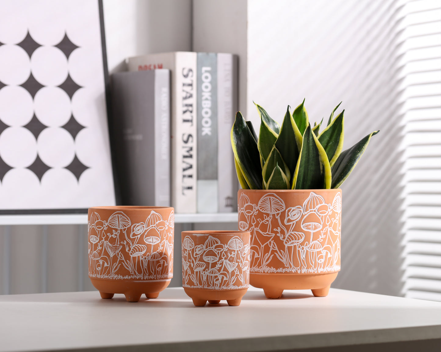 Happy Shrooms Terracotta Planter Trio