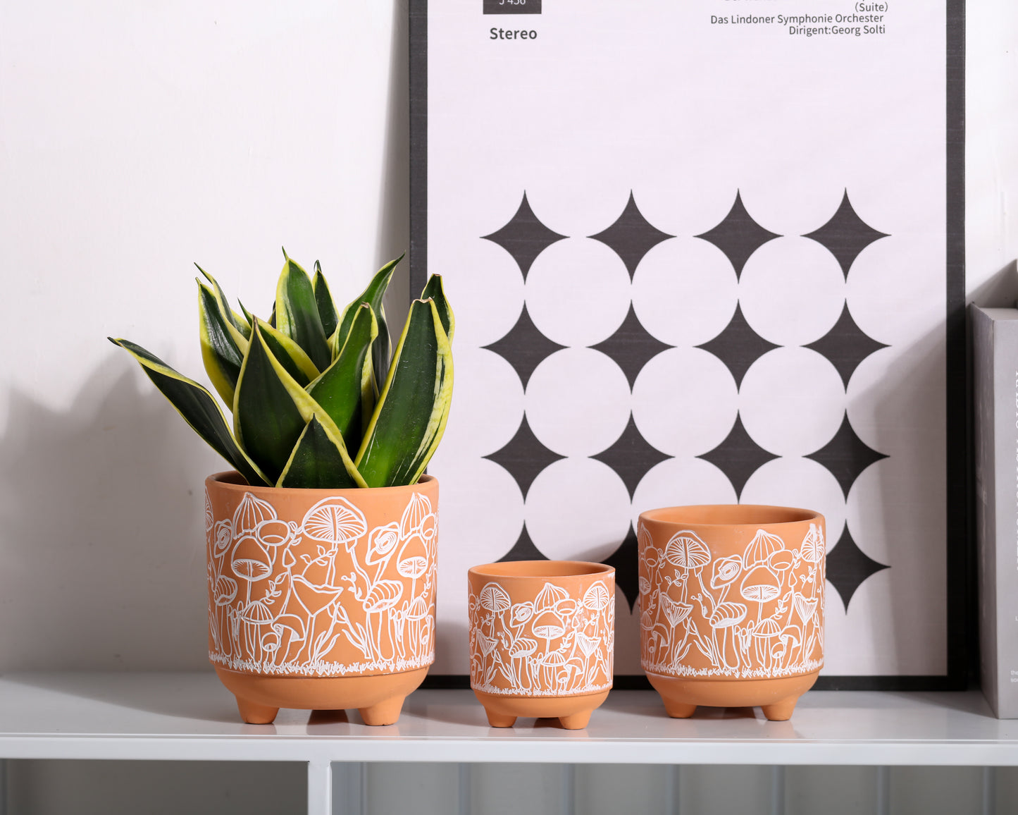 Happy Shrooms Terracotta Planter Trio