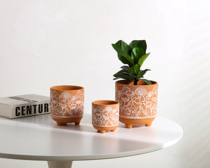 Happy Shrooms Terracotta Planter Trio