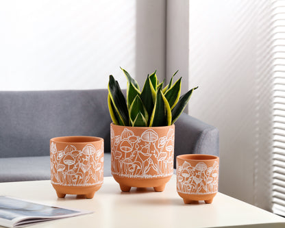 Happy Shrooms Terracotta Planter Trio