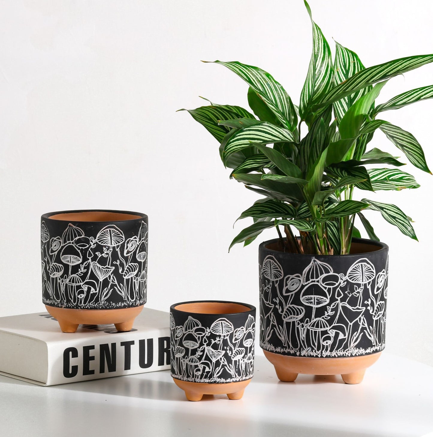 Happy Shrooms Terracotta Planter Trio