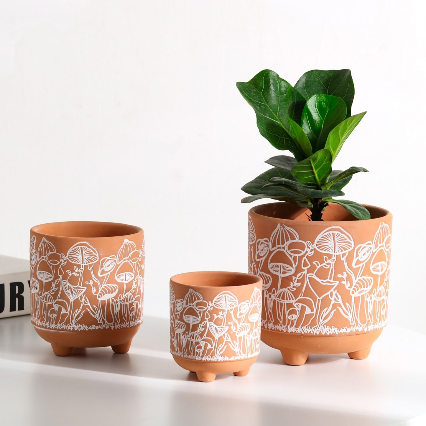Happy Shrooms Terracotta Planter Trio