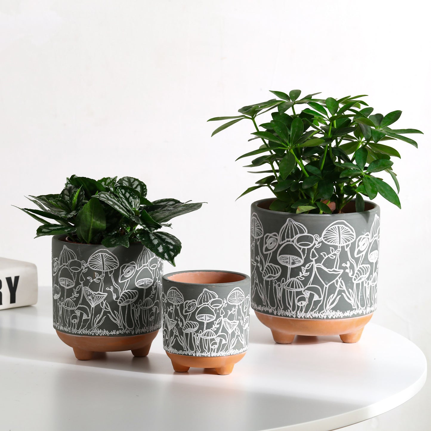 Happy Shrooms Terracotta Planter Trio